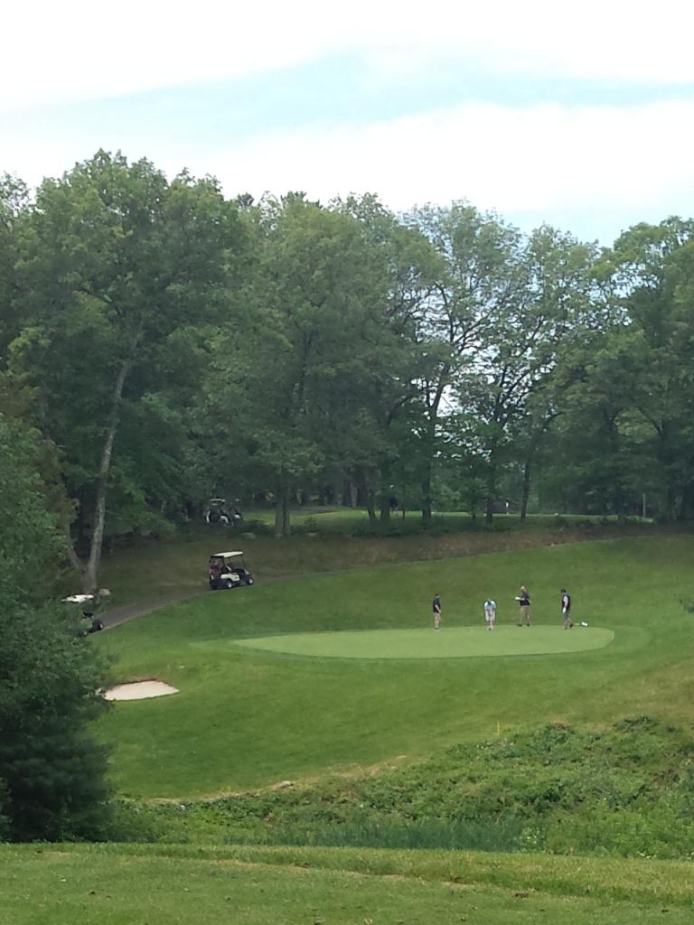 Mike Bartley, John Wiebe, John Uhrich, and Ben Falk at the Juniper Hills GC 2017