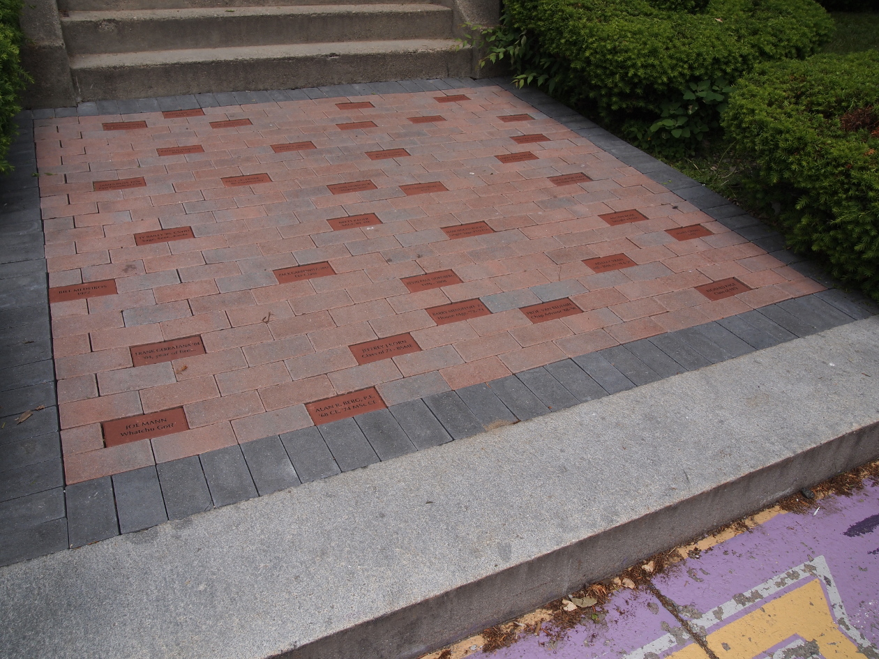 Walkway with initial bricks installed June 2018