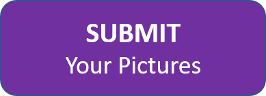 submit pictures